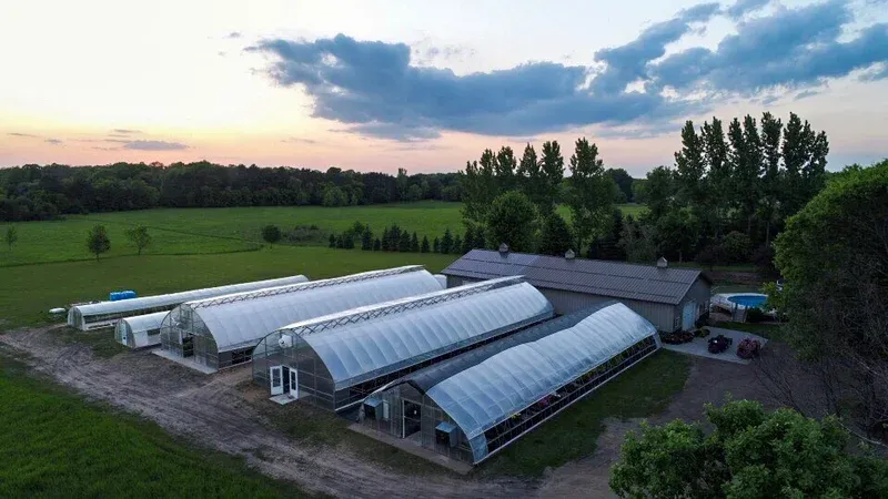 Aerial view of Goldeman's Greenhouse: seven greenhouses at sunset surrounded by Minnesota fields and trees